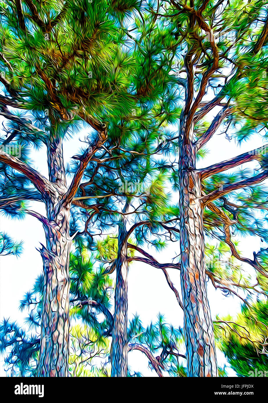 Oak Trees Vector High Resolution Stock Photography and Images - Alamy