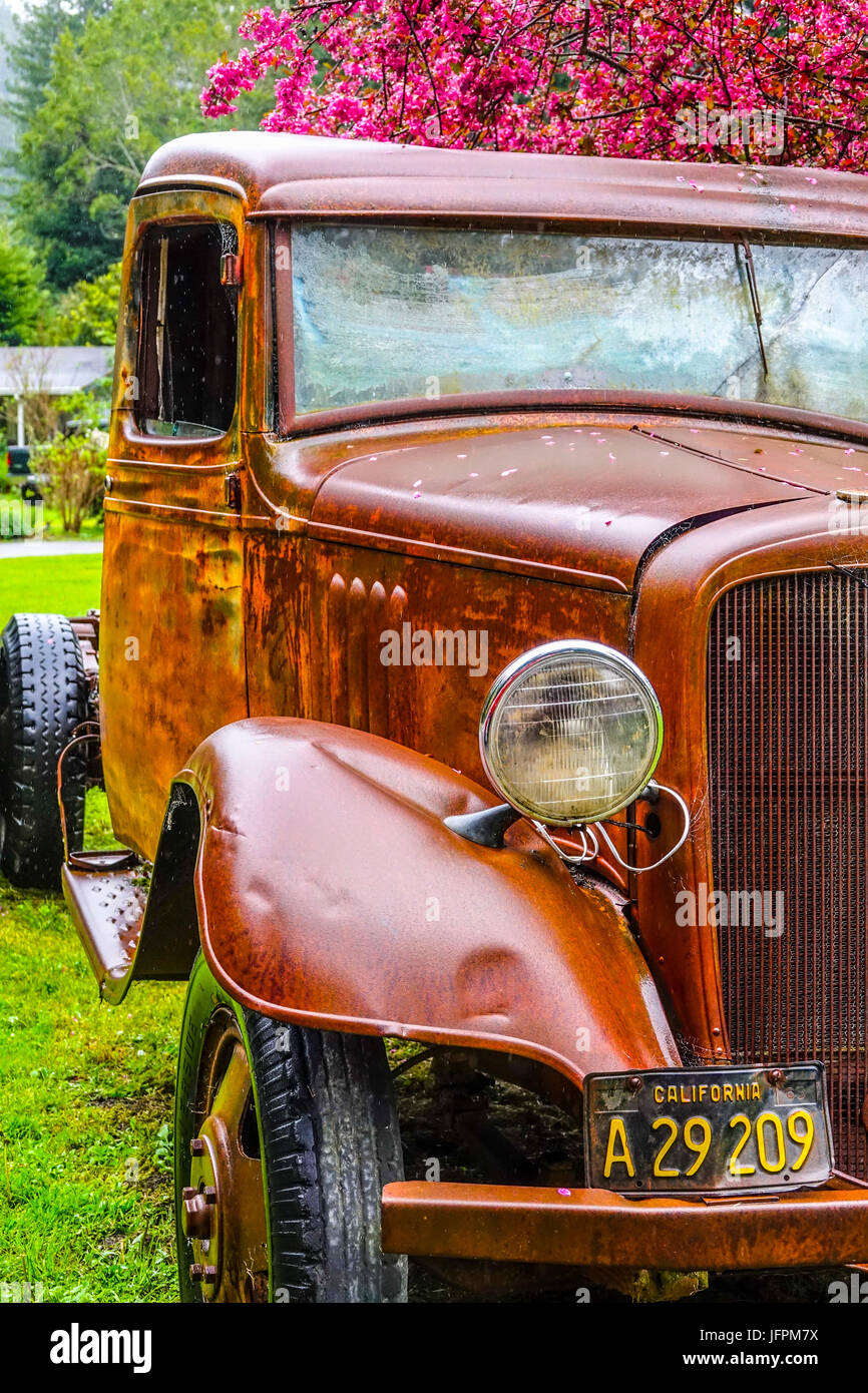 Giant Redwood Car High Resolution Stock Photography and Images Alamy