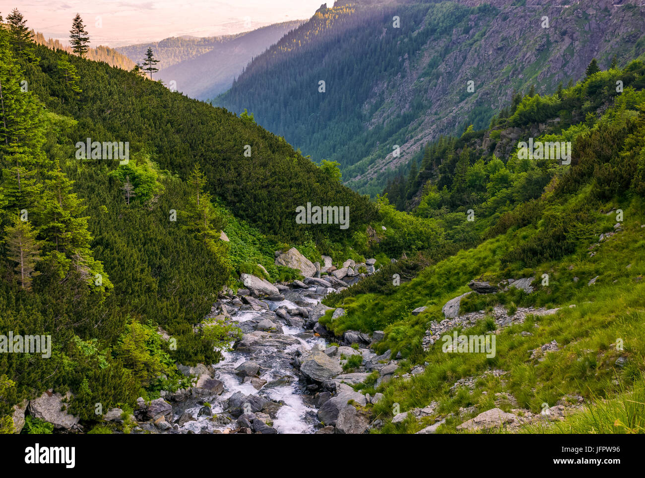 Rocky forest landscape hi-res stock photography and images - Alamy