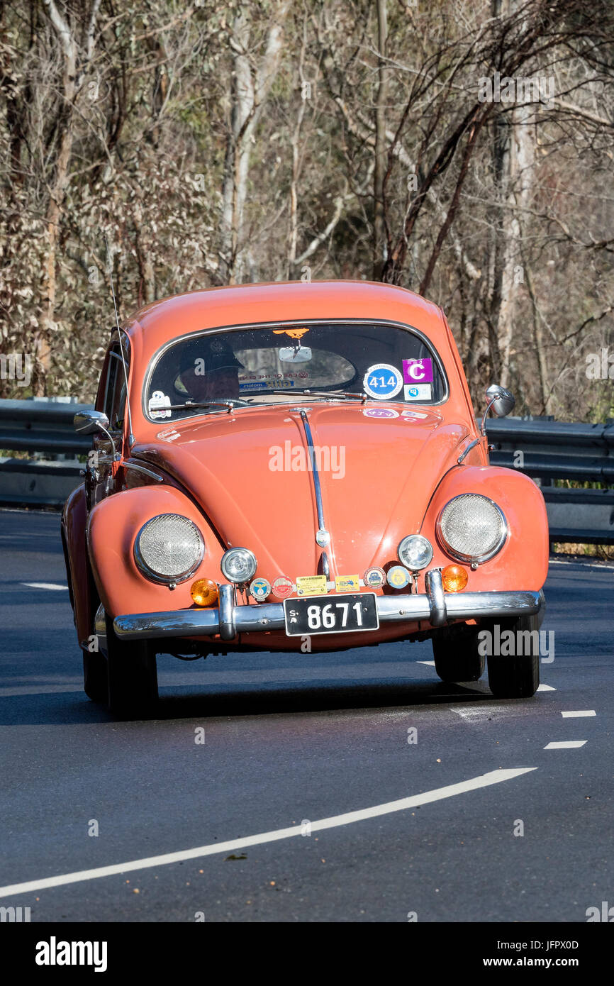 Vintage 1957 Volkswagen Beetle driving on country roads near the town ...