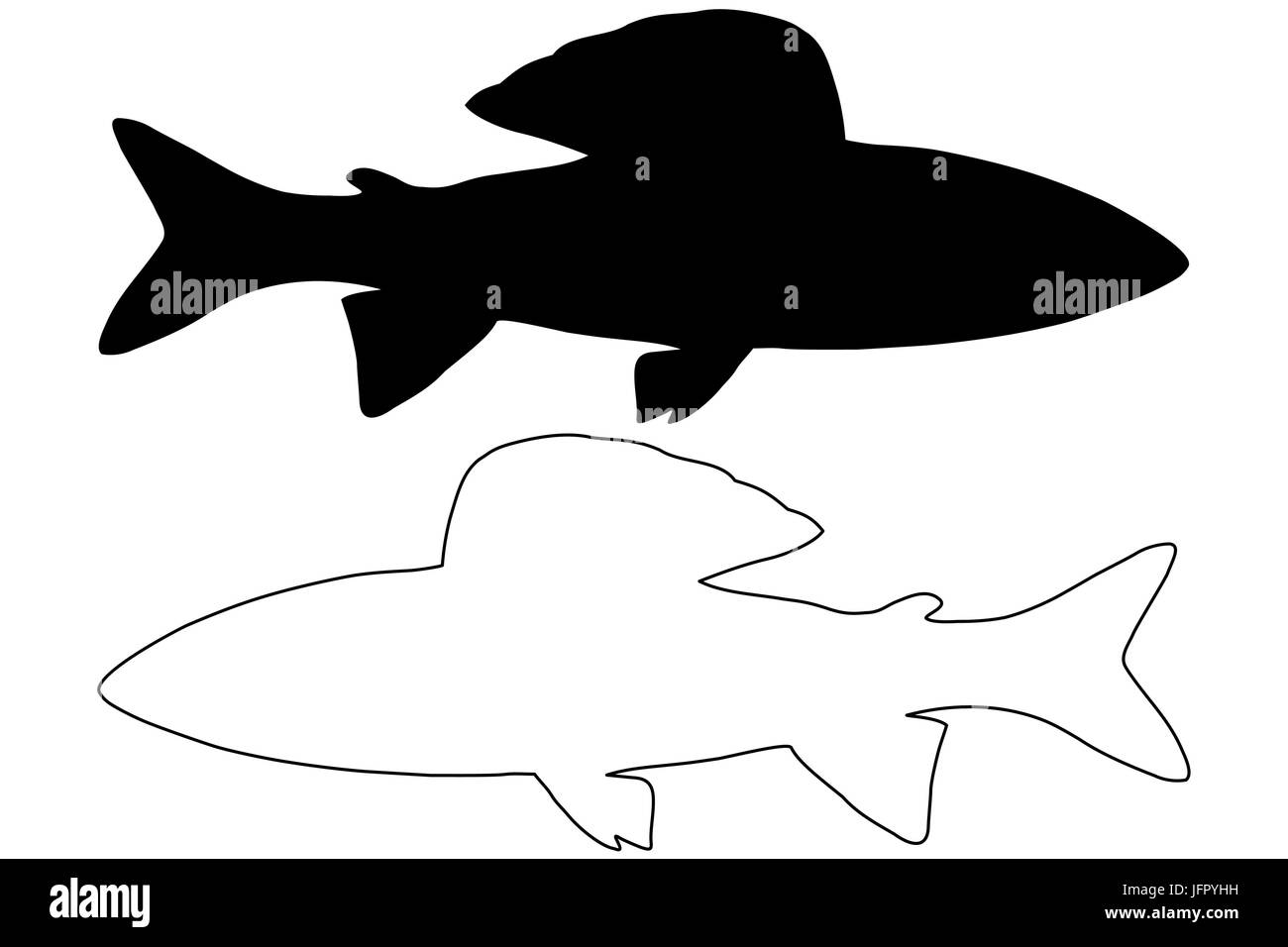 grayling silhouette vector, (Thymallus thymallus), Stock Vector