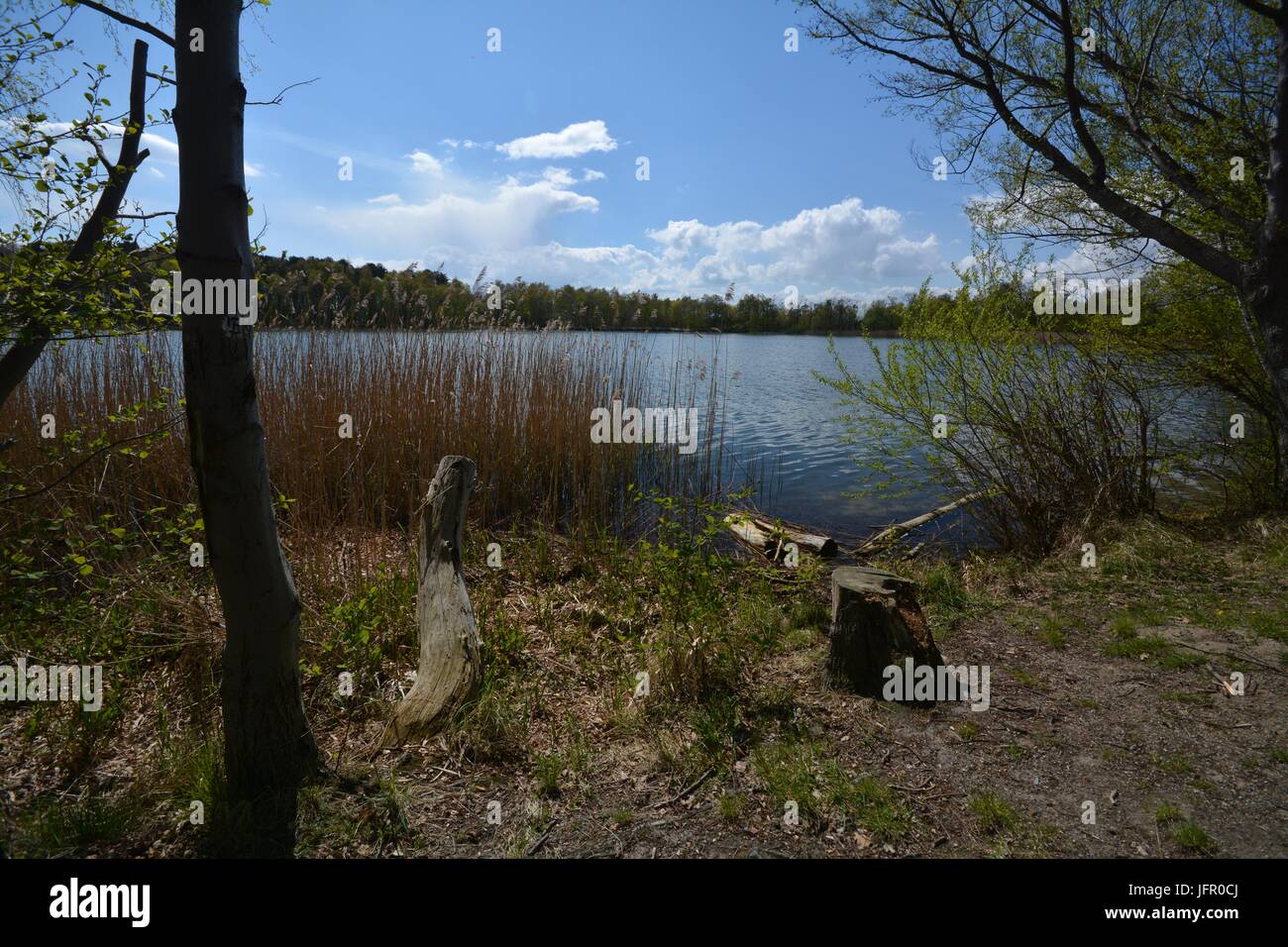 Impressions from New lake (Neuer See) in Falkensee (Brandenburg) from April 25, 2016, Germany Stock Photo