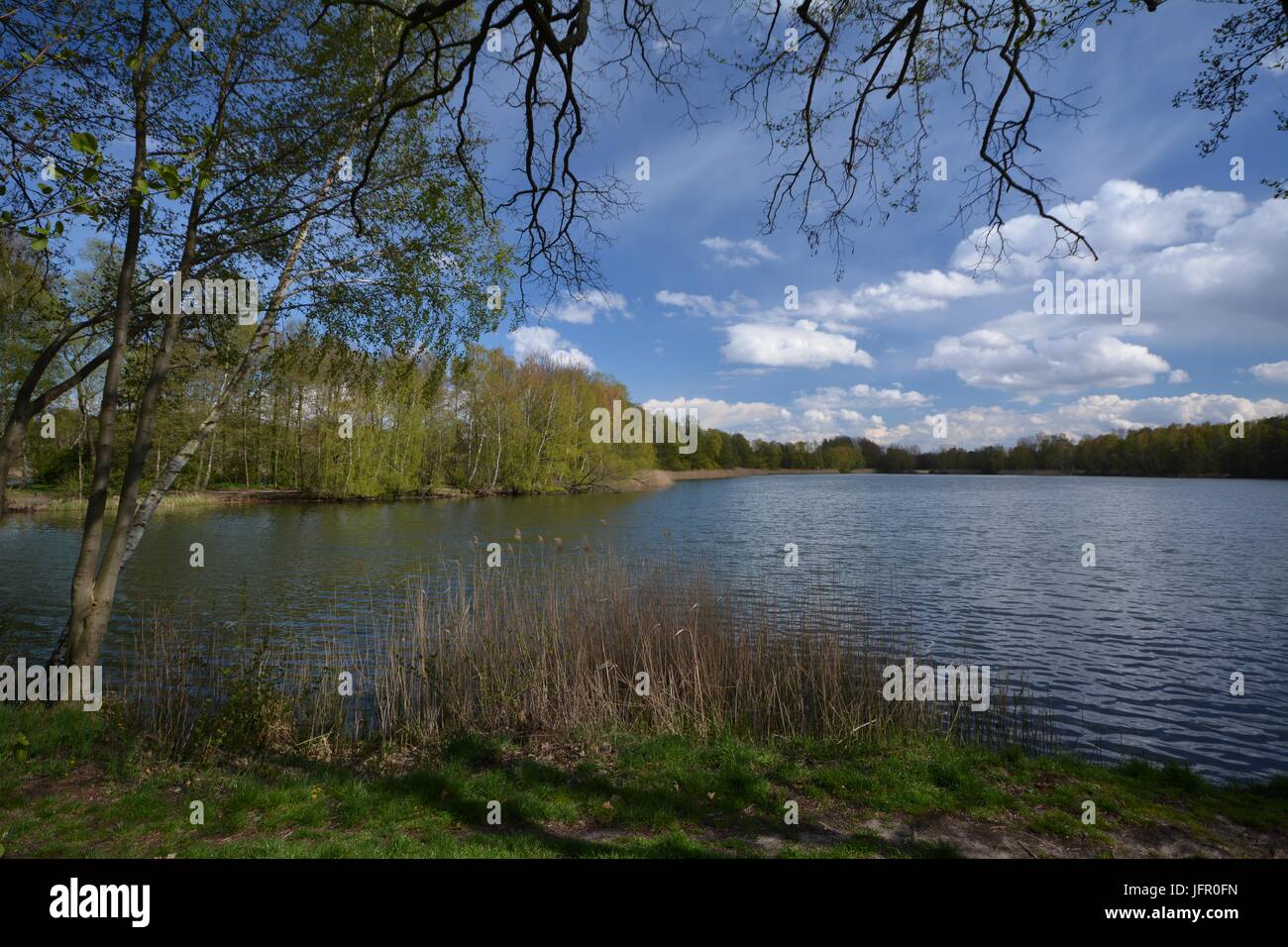 Impressions from New lake (Neuer See) in Falkensee (Brandenburg) from April 25, 2016, Germany Stock Photo