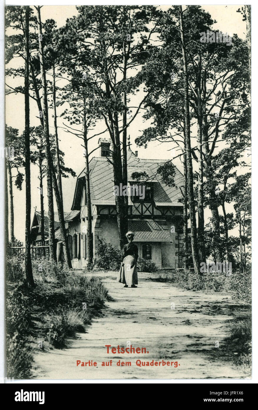 12445Tetschen1911Auf dem QuaderbergBrück & Sohn Kunstverlag Stock