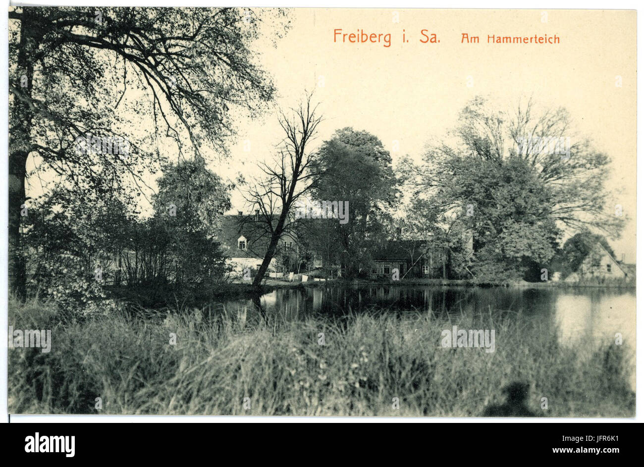 15497-Freiberg-1913-Am Hammerteich-Brück & Sohn Kunstverlag Stock Photo