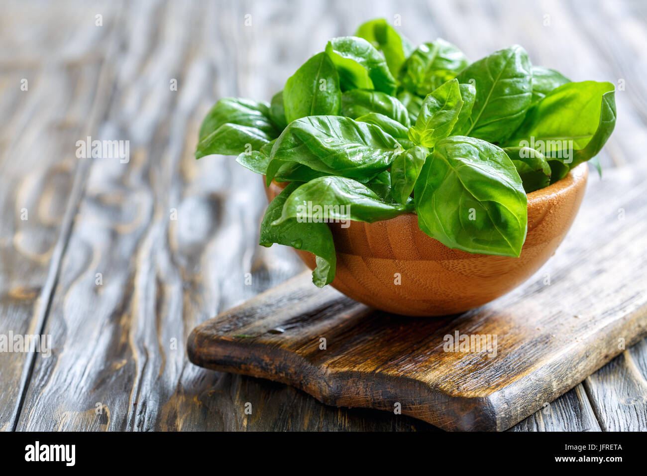 Green basil leaves in a drop of water. Stock Photo