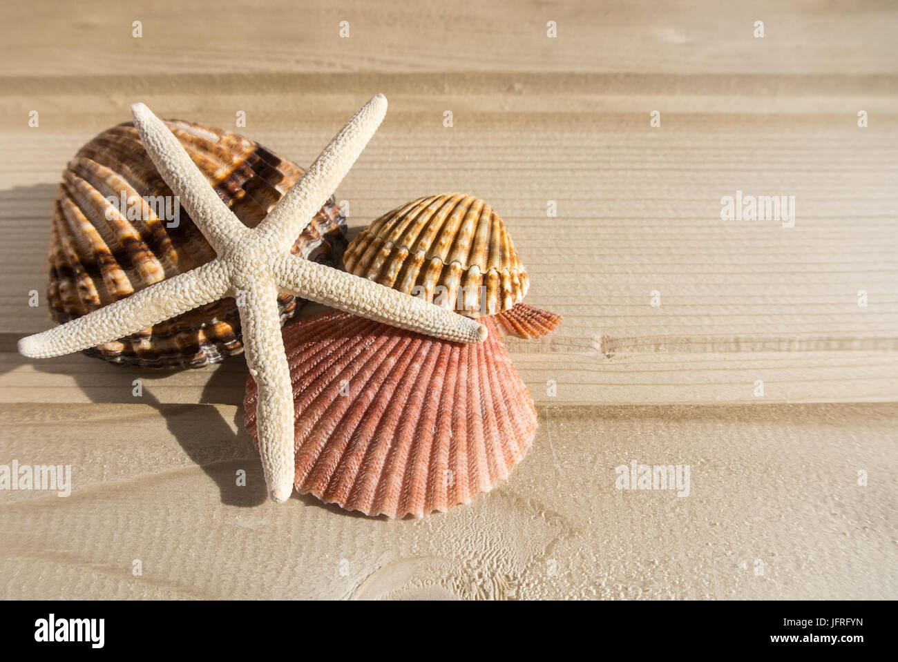 Bright wooden background with a collection of sea shells at the side ...