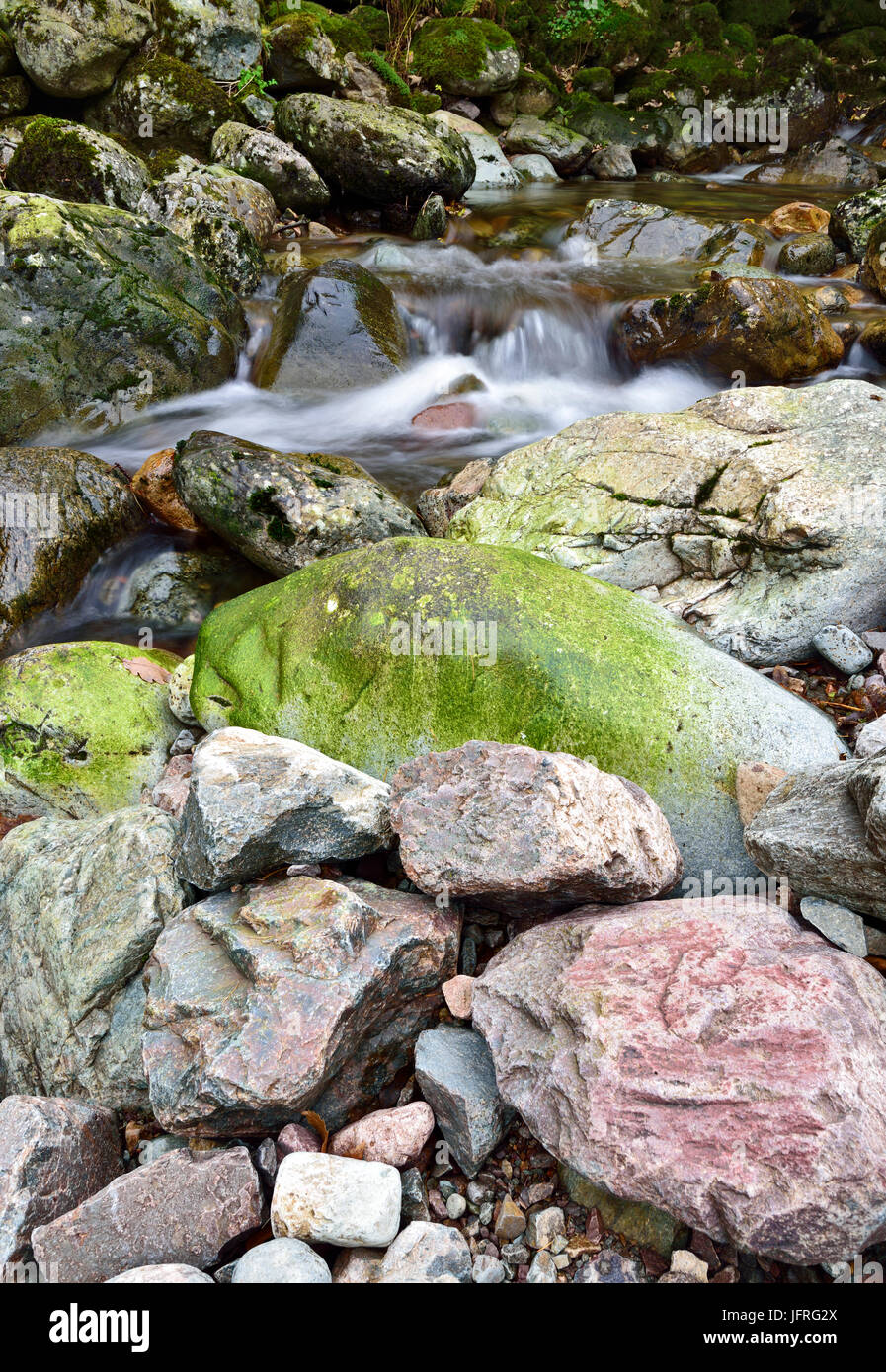 A view of a colorful part of Dungeon Ghyll in the Cumbria landscape Stock Photo