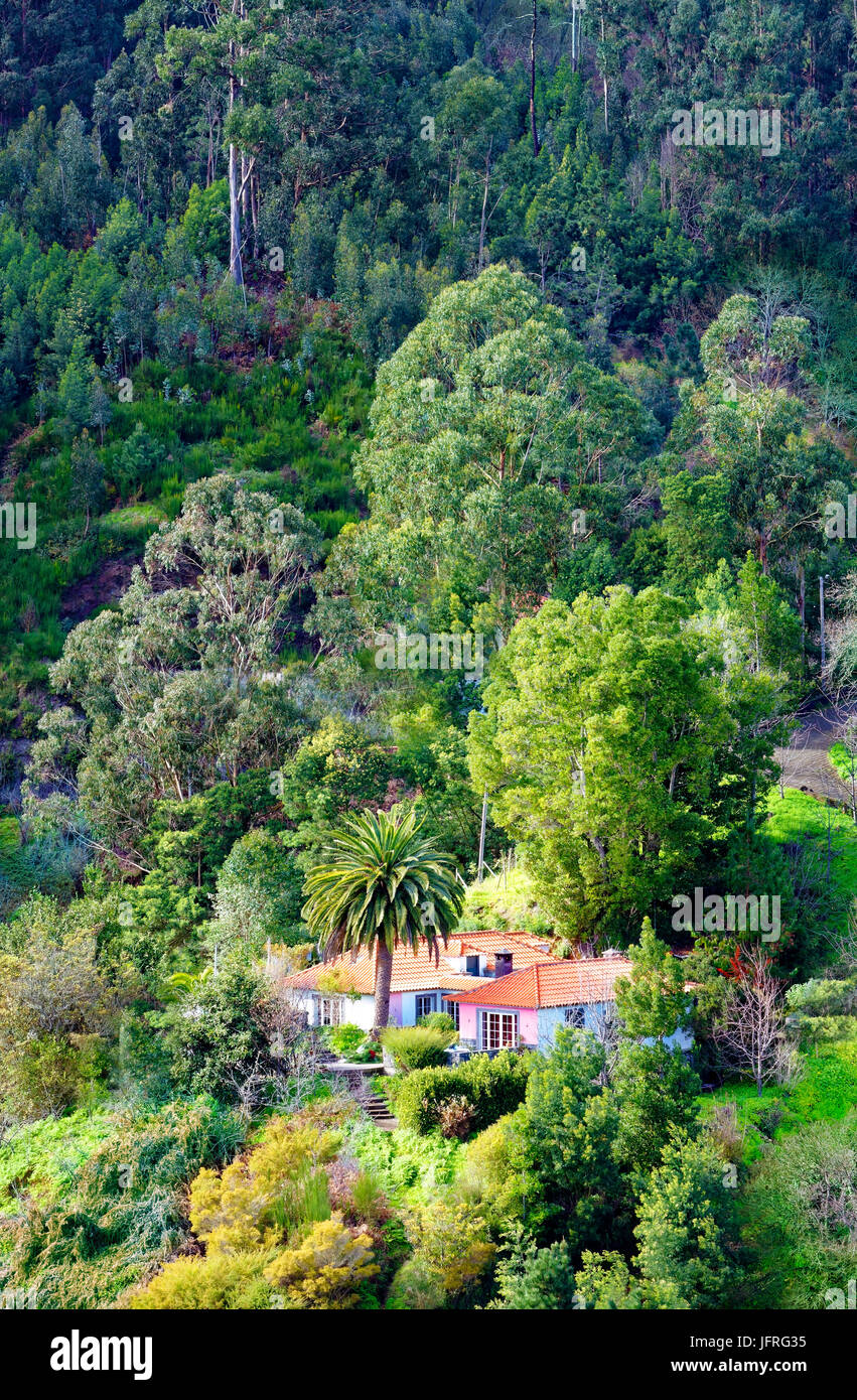 A view of an isolated villa nestling in a tree covered hillside in Madeira, Portugal Stock Photo