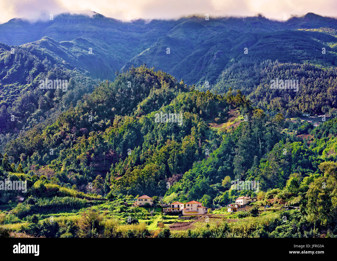 A view of the tree-clad mountainous landscape  of Madeira, Portugal Stock Photo