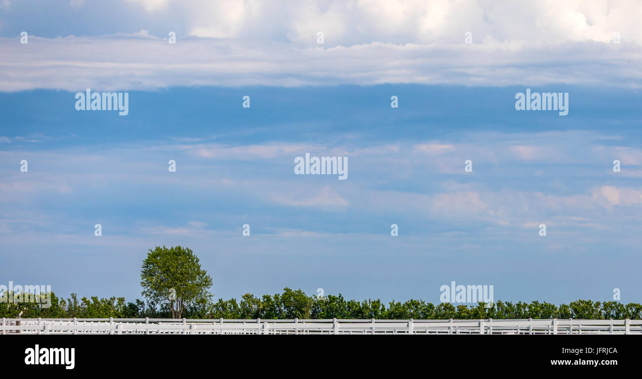 farm in eastern long island, ny Stock Photo