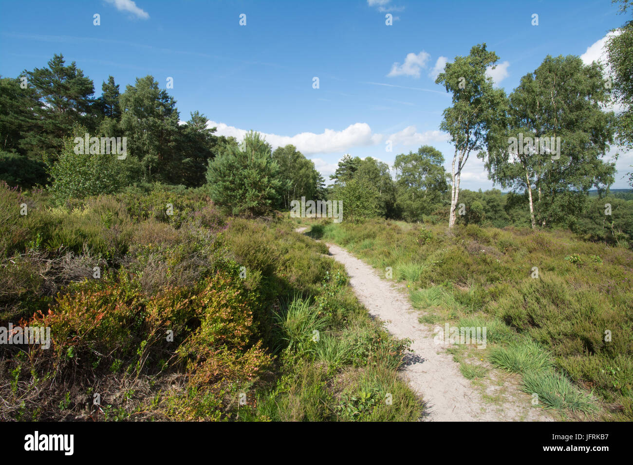 East weavers down hires stock photography and images Alamy