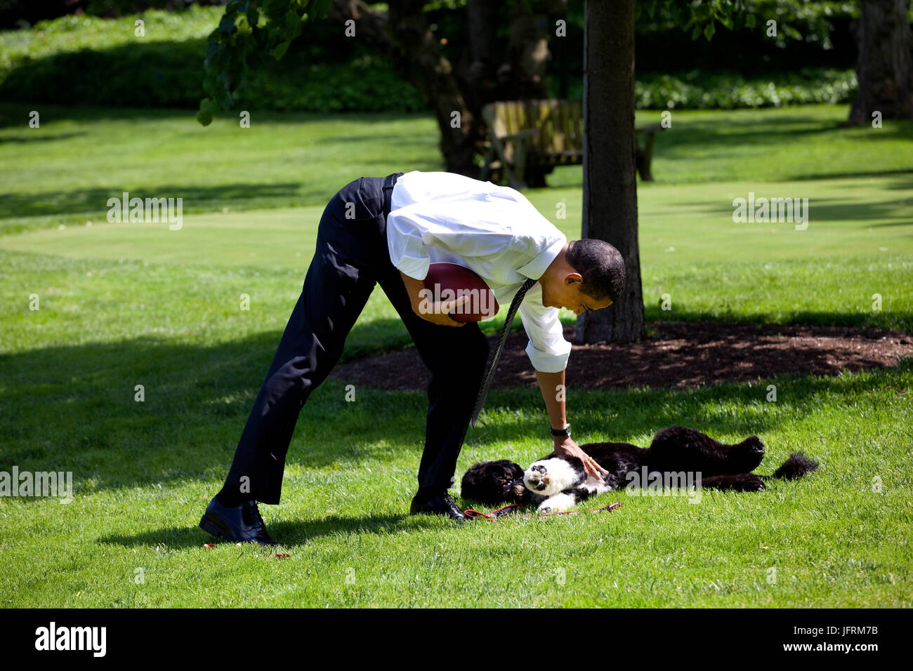 President Barack Obama, with the family dog Bo, playing football on the South Lawn of the  White House May 12, 2009.  White House Photo by Pete Souza.  This official White House photograph is being made available for publication by news organizations and/or for personal use printing by the subject(s) of the photograph. The photograph may not be manipulated or used in materials, advertisements, products, or promotions that in any way suggest approval or endorsement of the President, the First Family, or the White House. Stock Photo