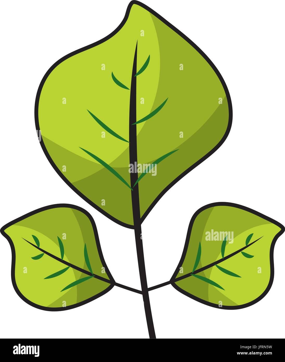 natural leaves botany of tropical plant Stock Vector Image & Art - Alamy