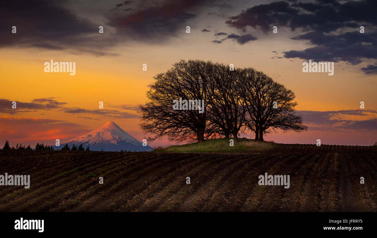 Sunset in the Osorno volcano ÷ Atardecer en el volcán Osorno Stock Photo