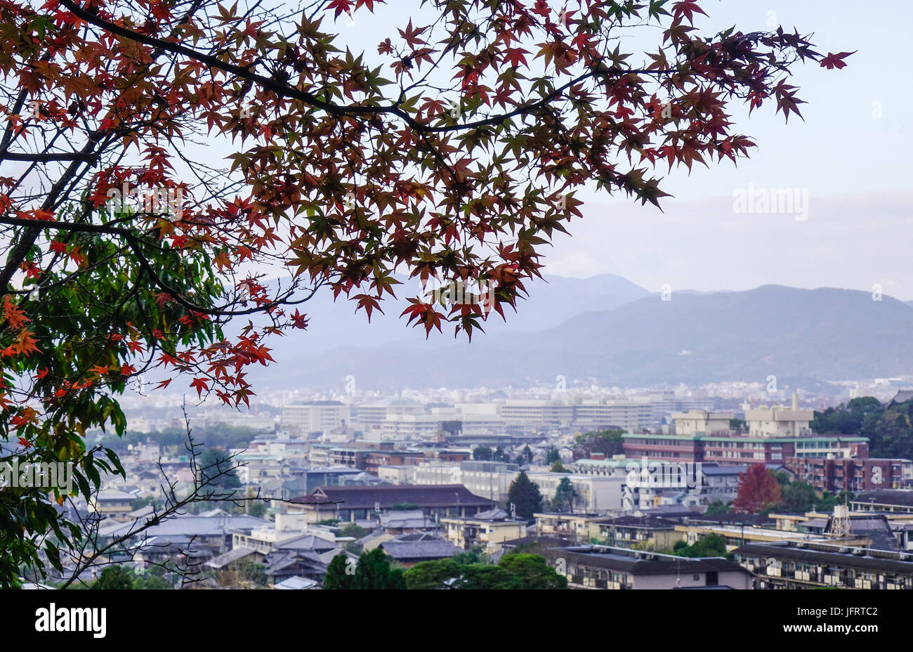 Autumn leaves with cityscape background in Kyoto, Japan. Kyoto served ...