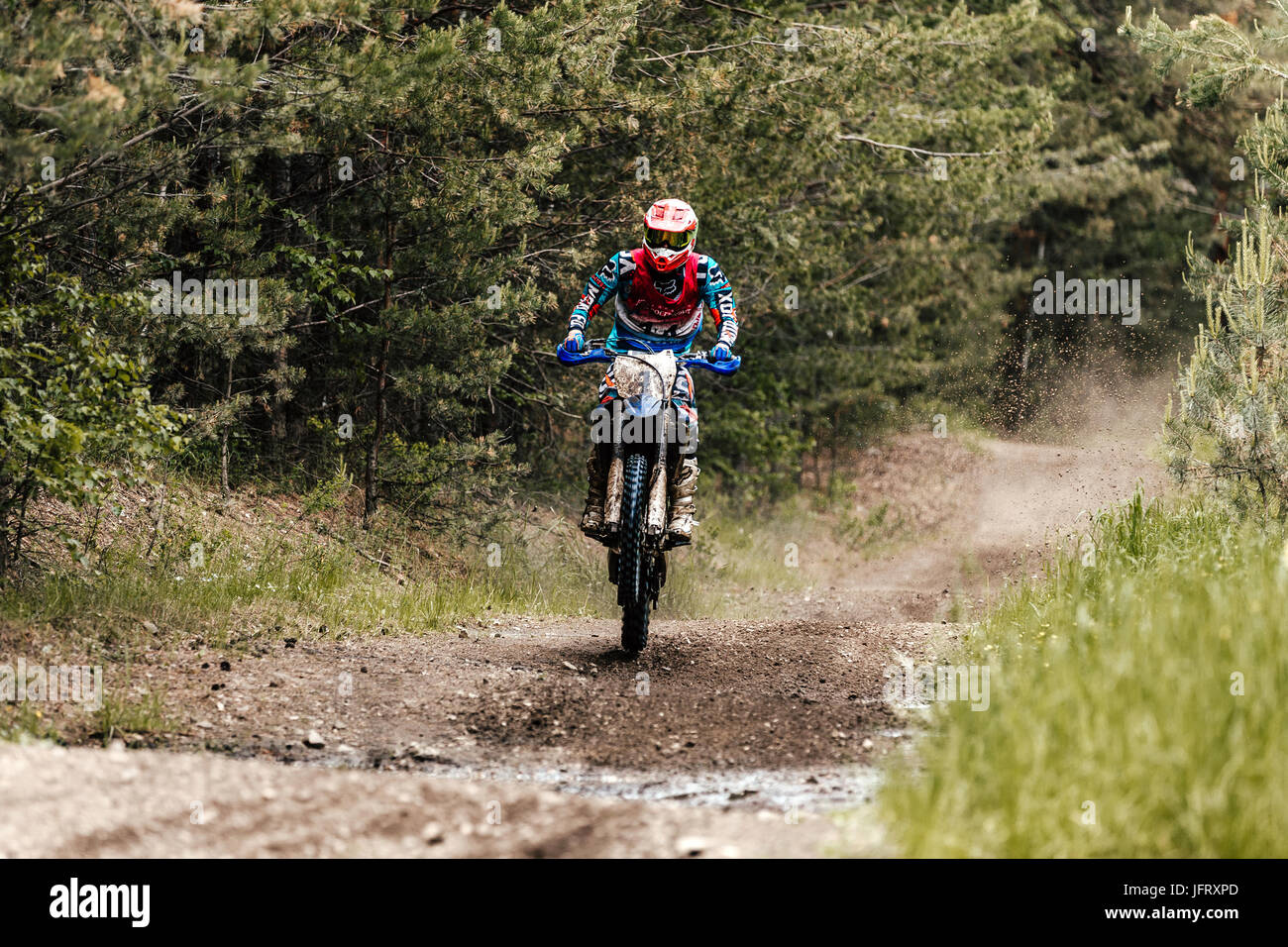 enduro athlete rides on rear wheel of motorcycle during Ural Cup in Enduro Stock Photo