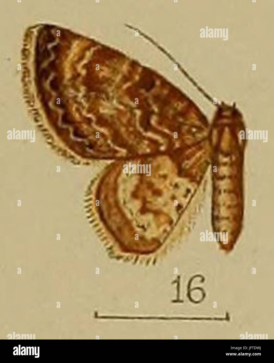 Snellen illustration hi-res stock photography and images - Alamy