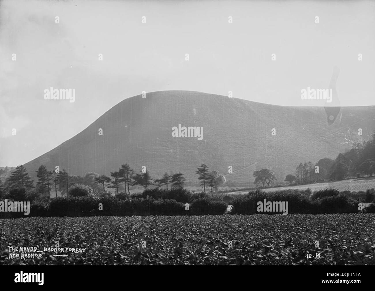 New forest history map hires stock photography and images Alamy