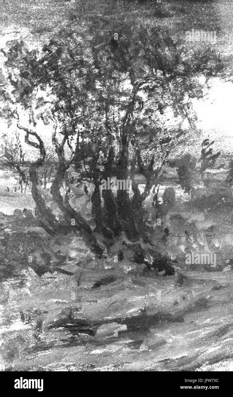 Antonin Waldhauser 1835-1913 - Skupina stromu v soumraku studie Stock Photo