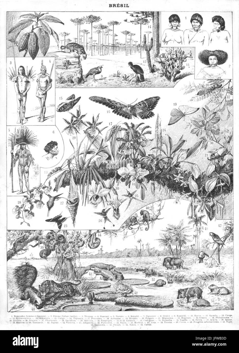 Larousse cover hires stock photography and images Alamy