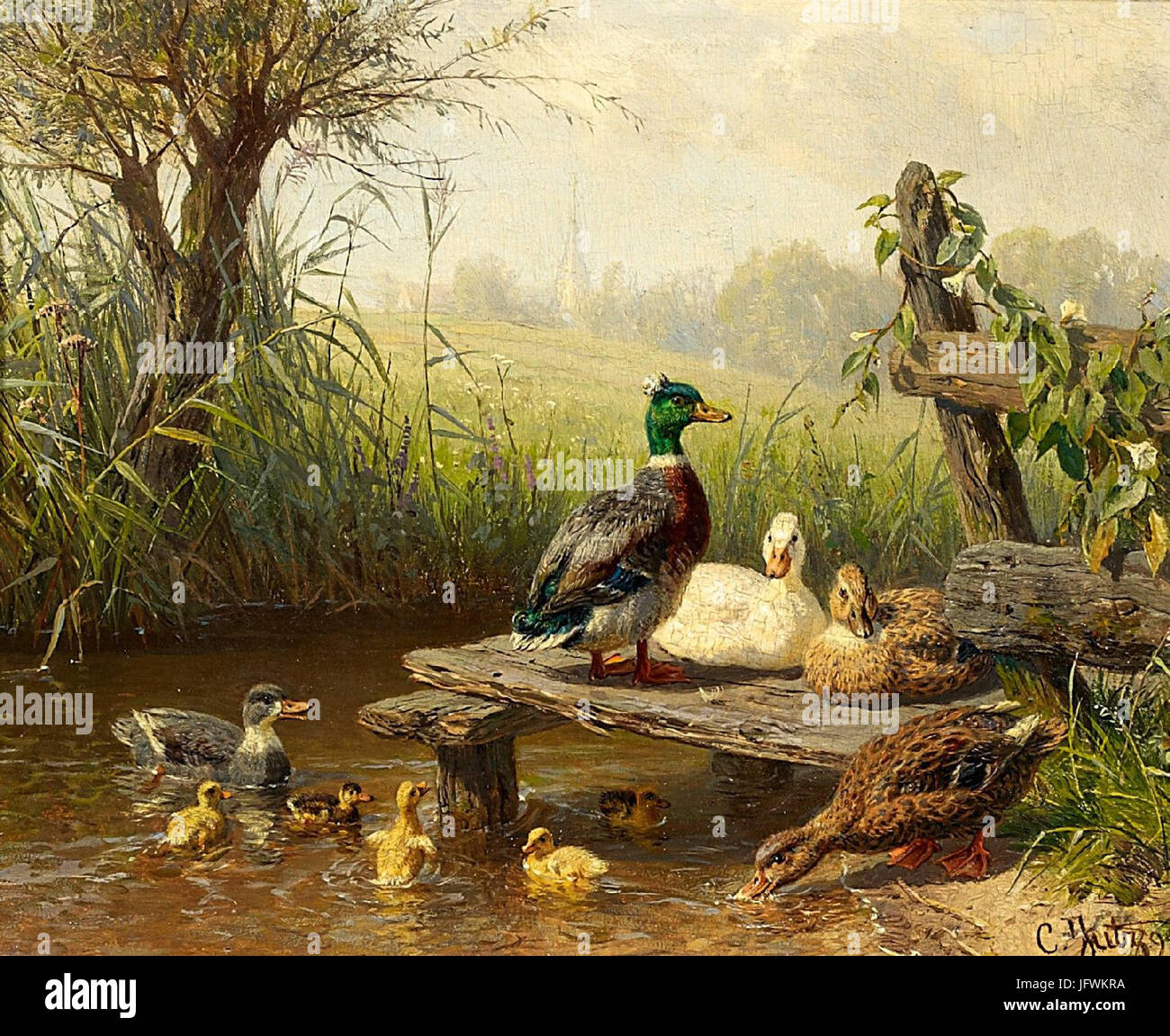 Enten teich hires stock photography and images Alamy