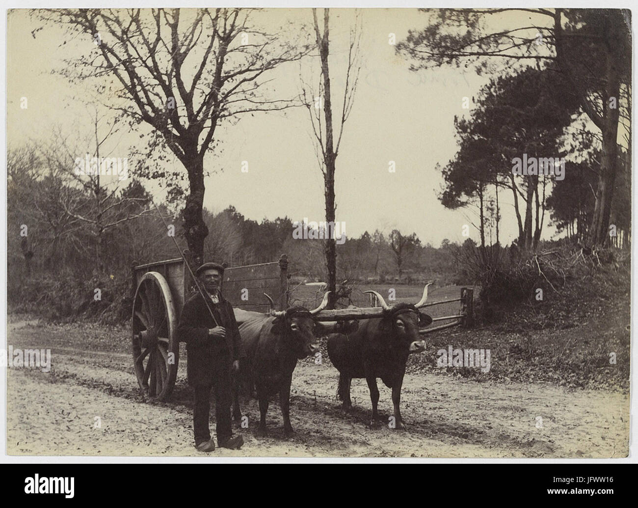 Jouet Ancien DEJOU - Char à Bœufs Auvergnat Des Années 40 - À Restaurer
