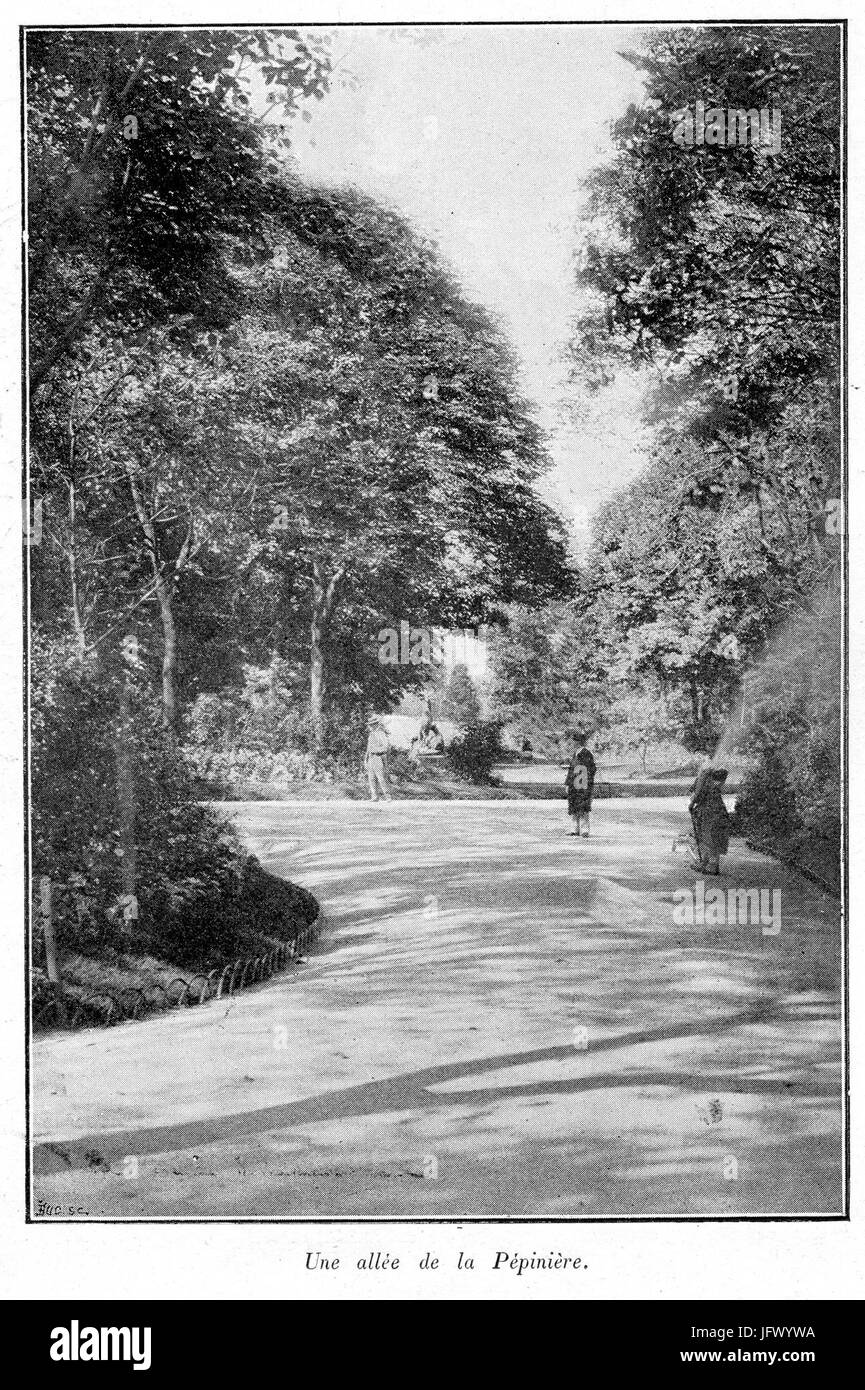 CPA Ancienne - NANCY - Une Allée De La Pépinière - Carte Postale Ancienne (Écrite)