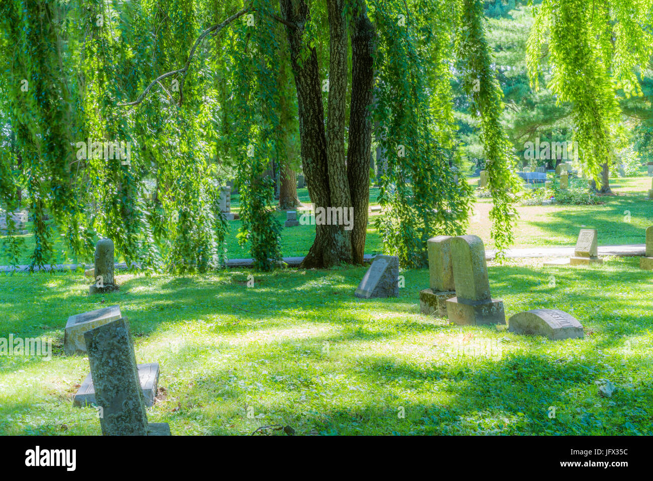 Peaceful Cemetery with trees Stock Photo Alamy