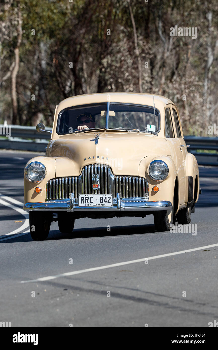 Vintage Holden driving on country roads near the town of Birdwood, South Australia. Stock Photo