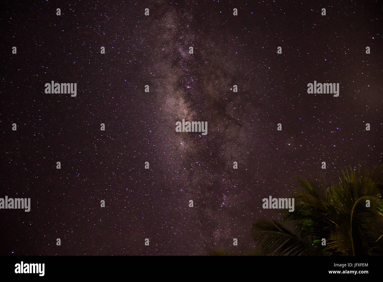 milky way in a starry night Stock Photo - Alamy