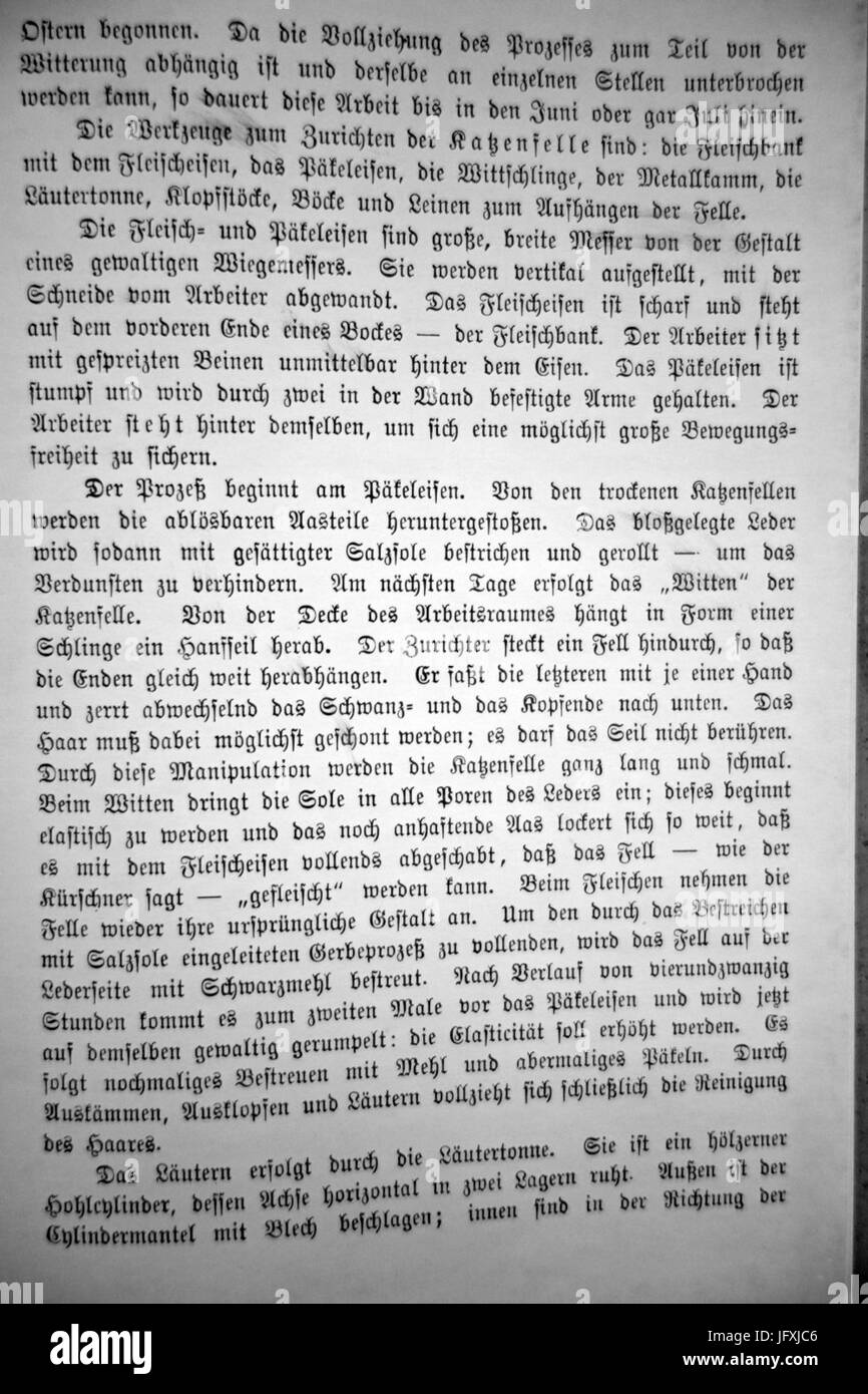 Die Kürschnerei in Frankenberg in Sachsen, Albin König, 1895-316 Stock Photo - Alamy