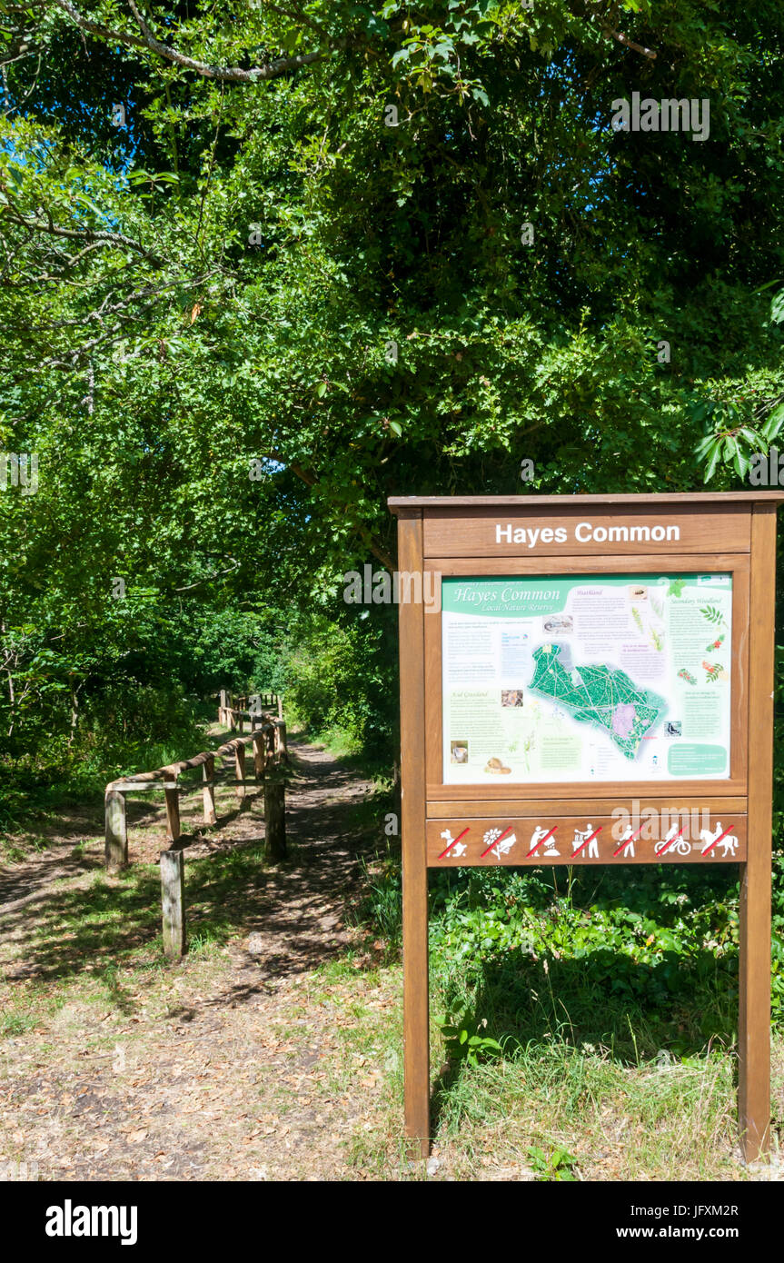 An interpretive sign at the start of a footpath and bridleway across Hayes Common in Bromley, south of London Stock Photo