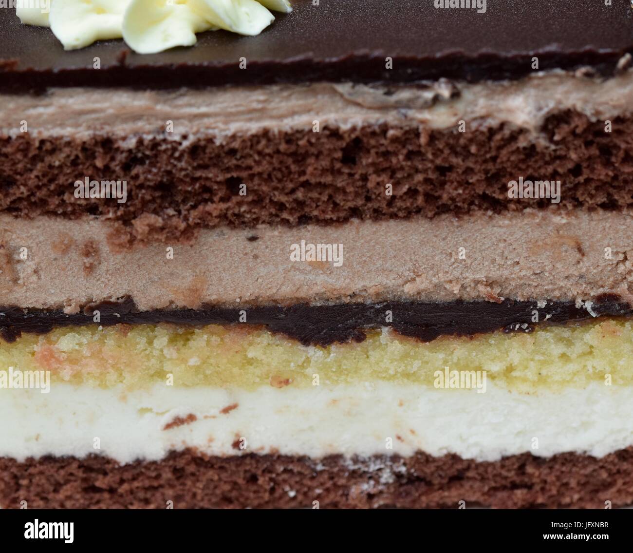 Dark chocolate jaffa cake hi-res stock photography and images - Alamy
