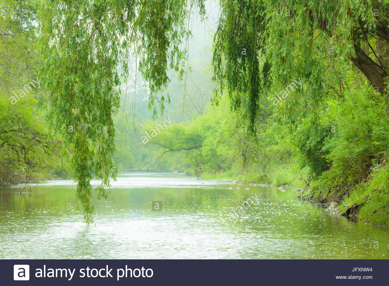 Windless Summer