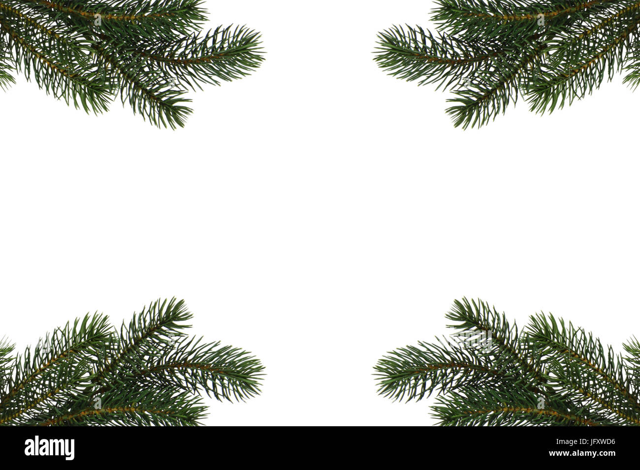 Fir tree branch isolated on white background Stock Photo - Alamy