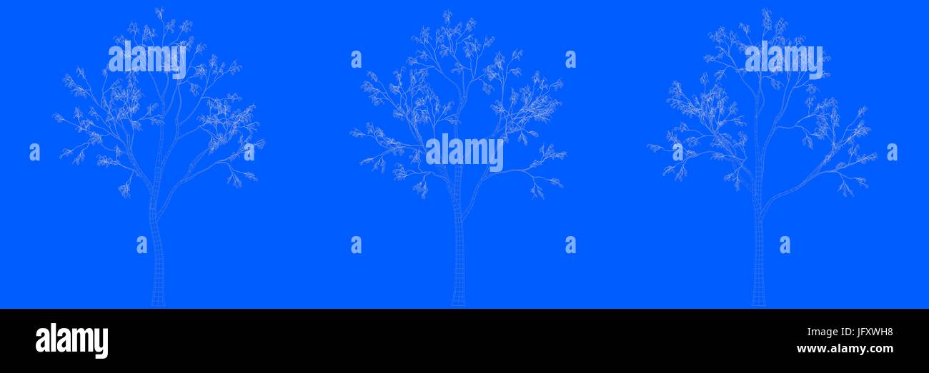 3d rendering of three trees as lines on a blue background Stock Photo