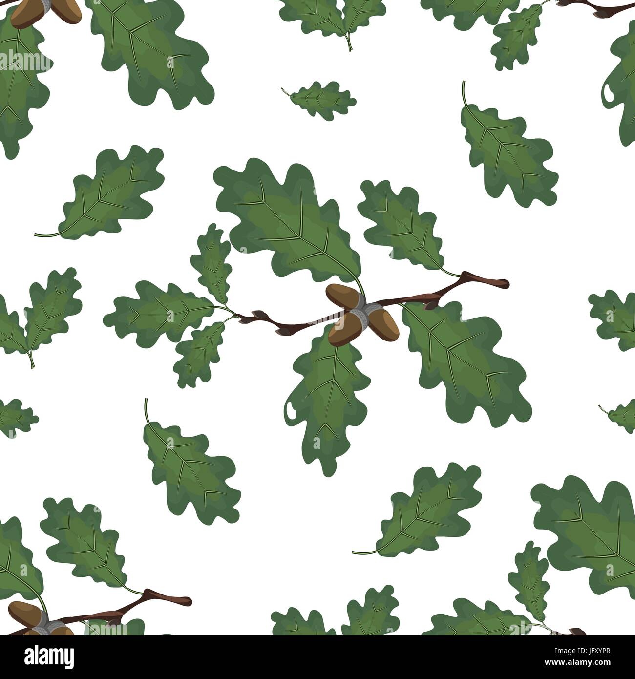 Green branches of oak with acorns and leaves. Seamless. Isolated on ...