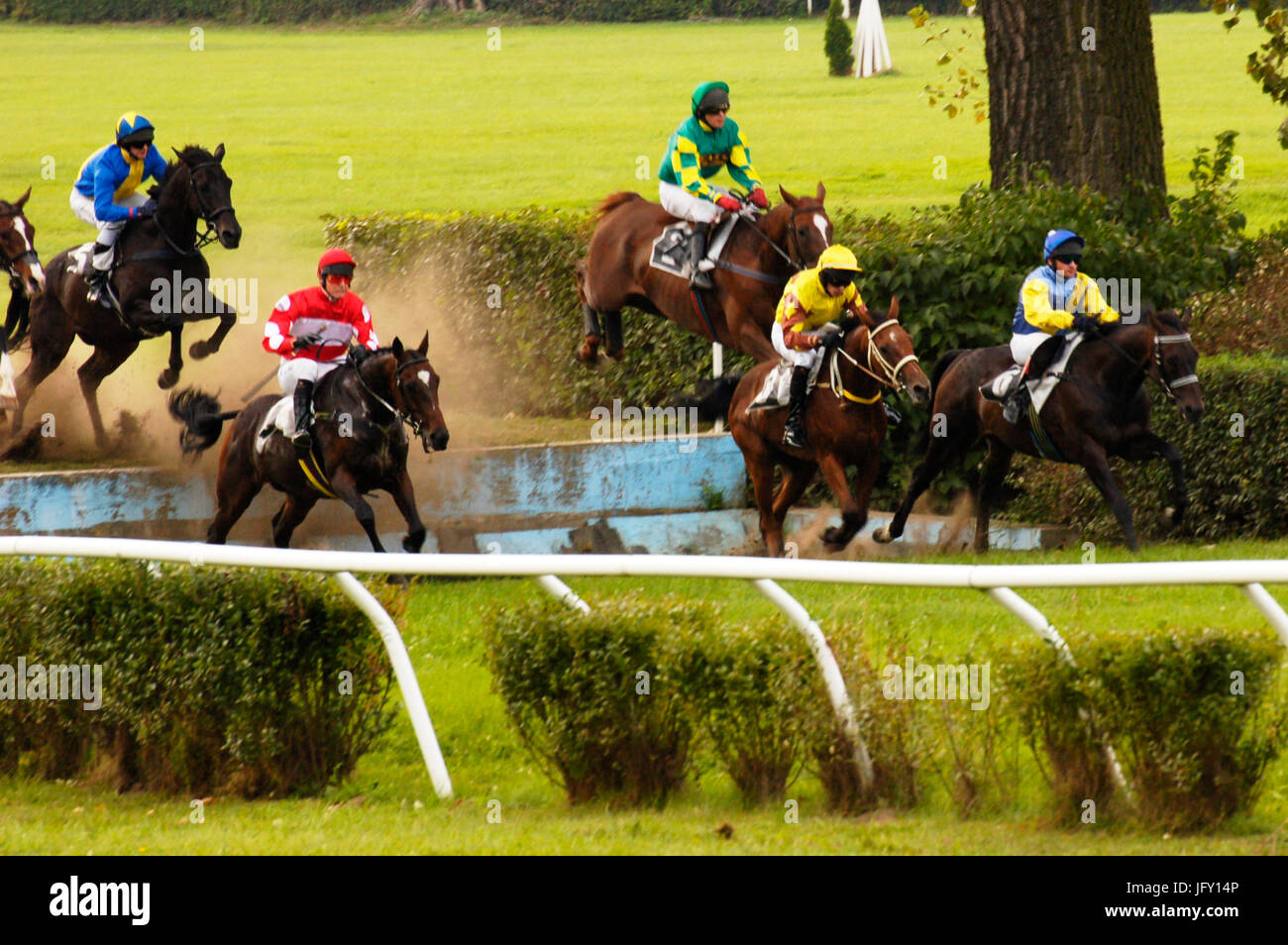 horses jumping the water pool during a steeplechase horserace Stock