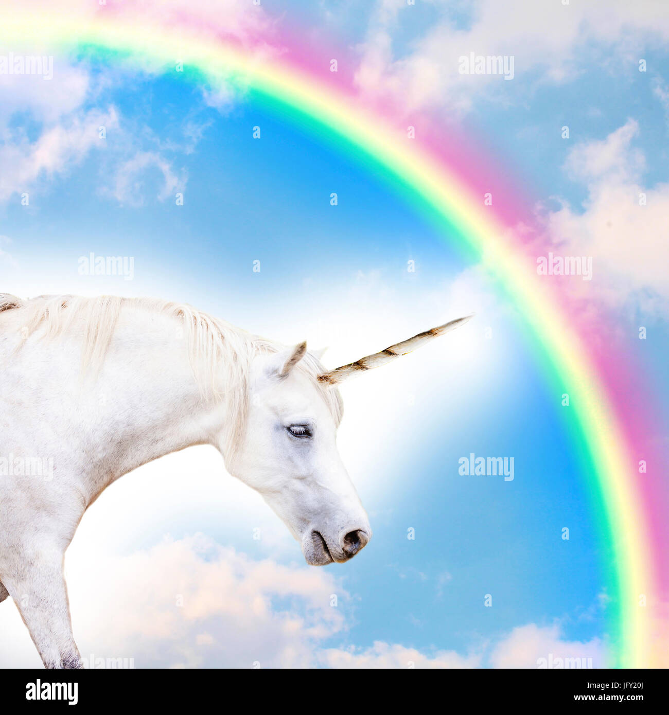 Unicorn with rainbow in the sky Stock Photo - Alamy, image size:1300x1390
