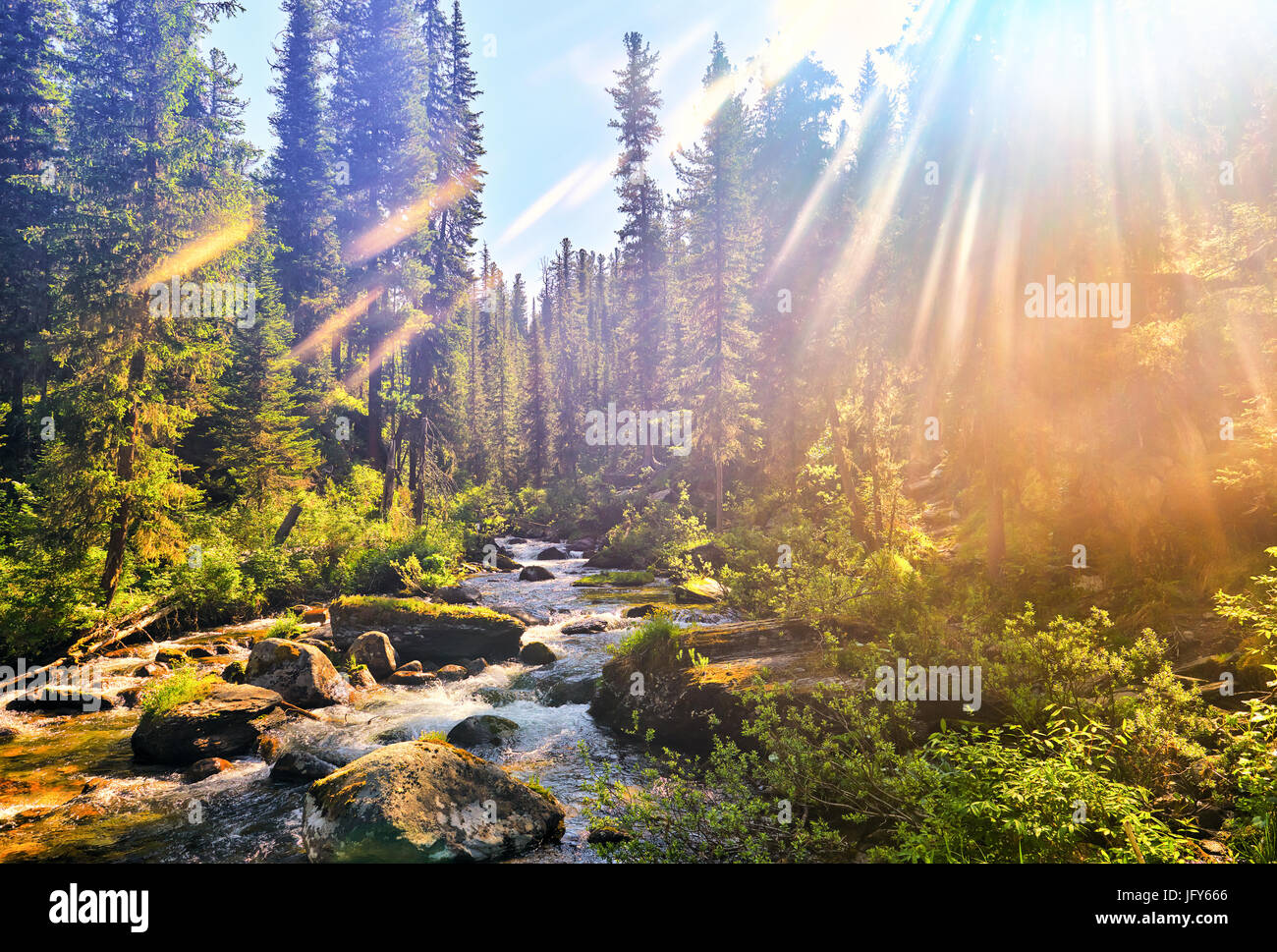 Beautiful sunlight in Siberian mountain forest. Dark coniferous taiga. Nature Park Ergaki. Russia Stock Photo