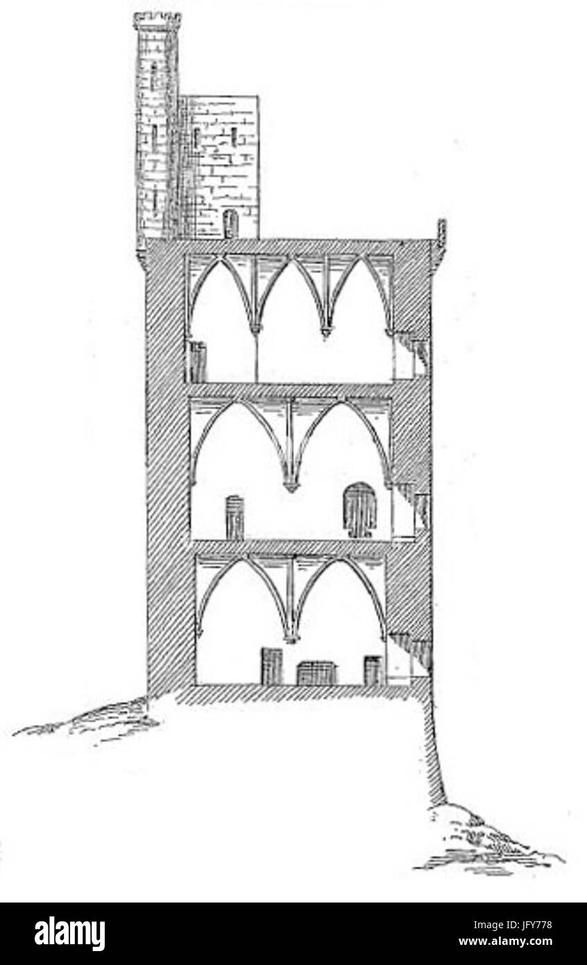 Duhamel 1879 Fig5 crosssection Stock Photo Alamy