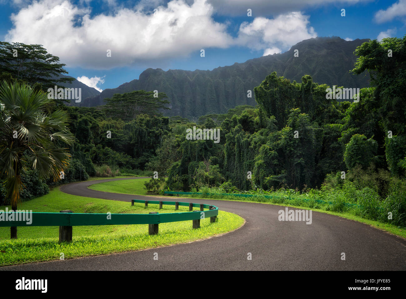 Road In Hoomaluhia Botanical Gardens Oahu Hawaii Stock Photo