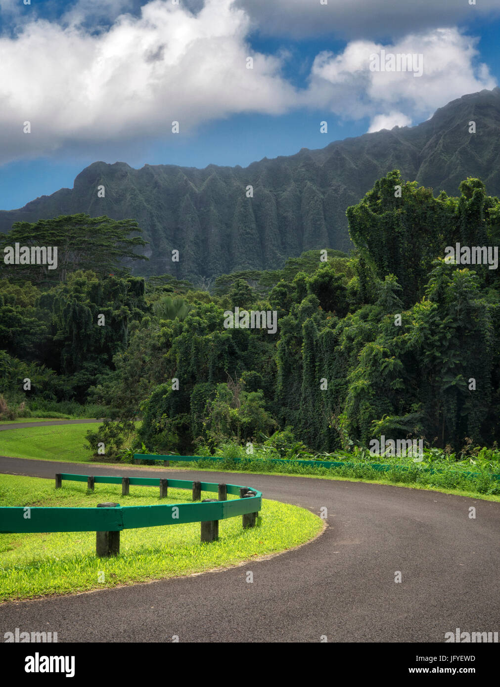 Road In Hoomaluhia Botanical Gardens Oahu Hawaii Stock Photo