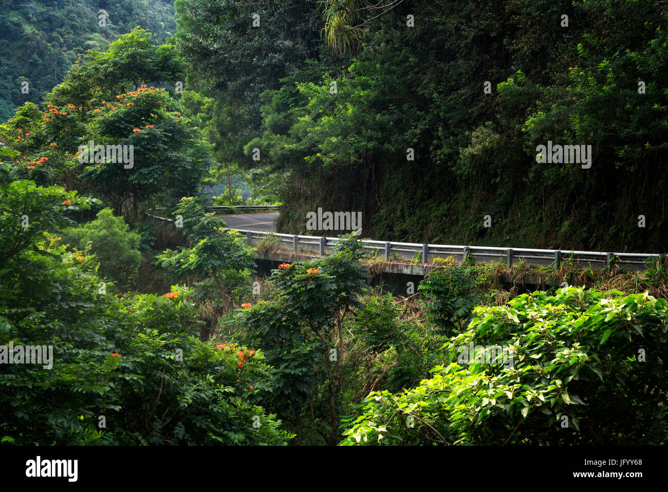 Road to Hana. Maui, Hawaii Stock Photo