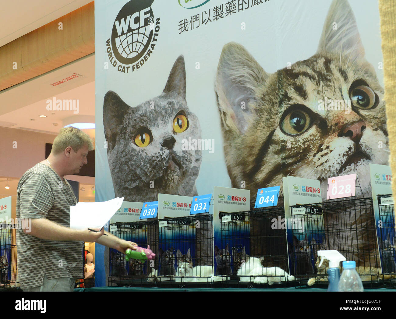 Wcf cat hires stock photography and images Alamy