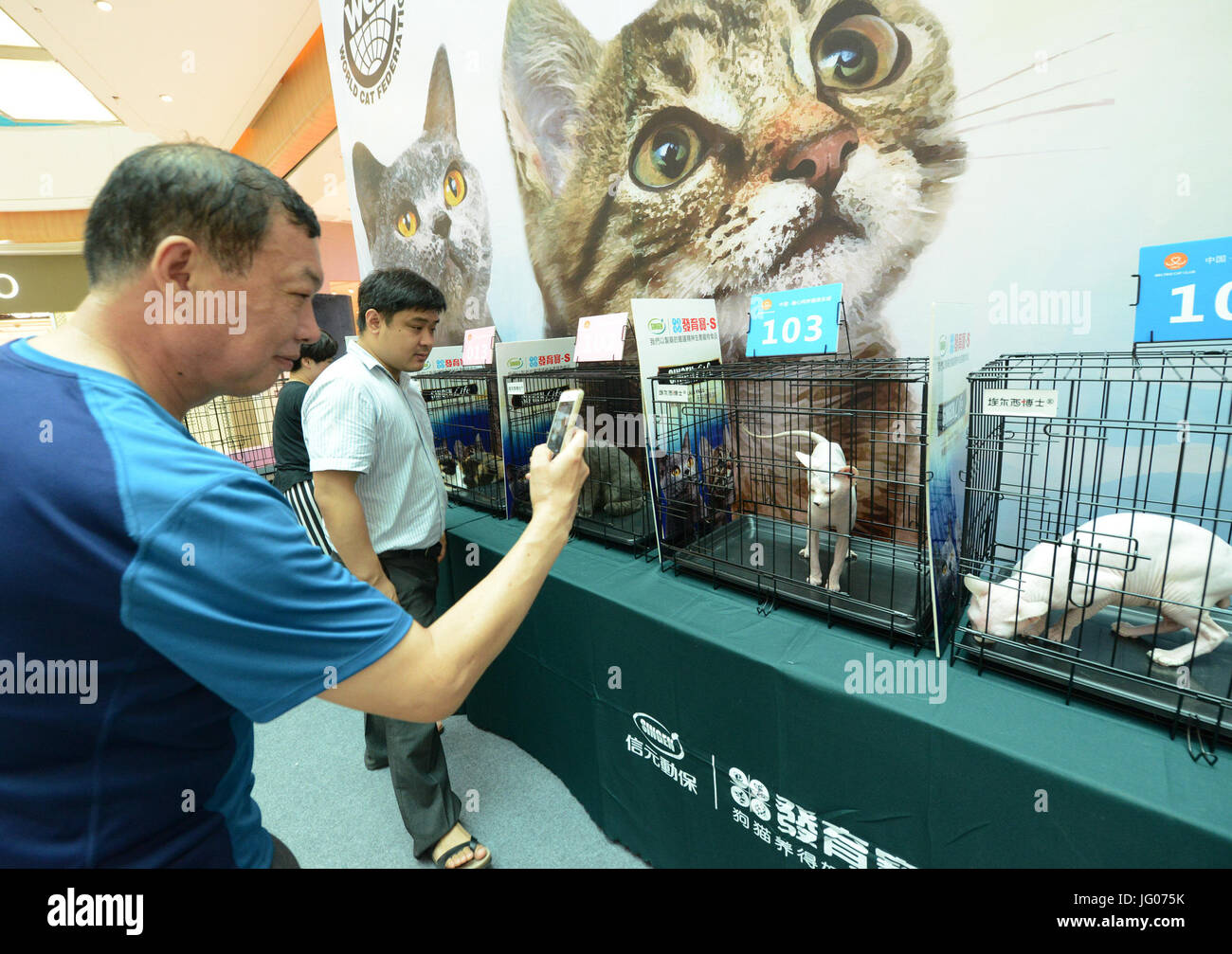 Wcf cat hires stock photography and images Alamy
