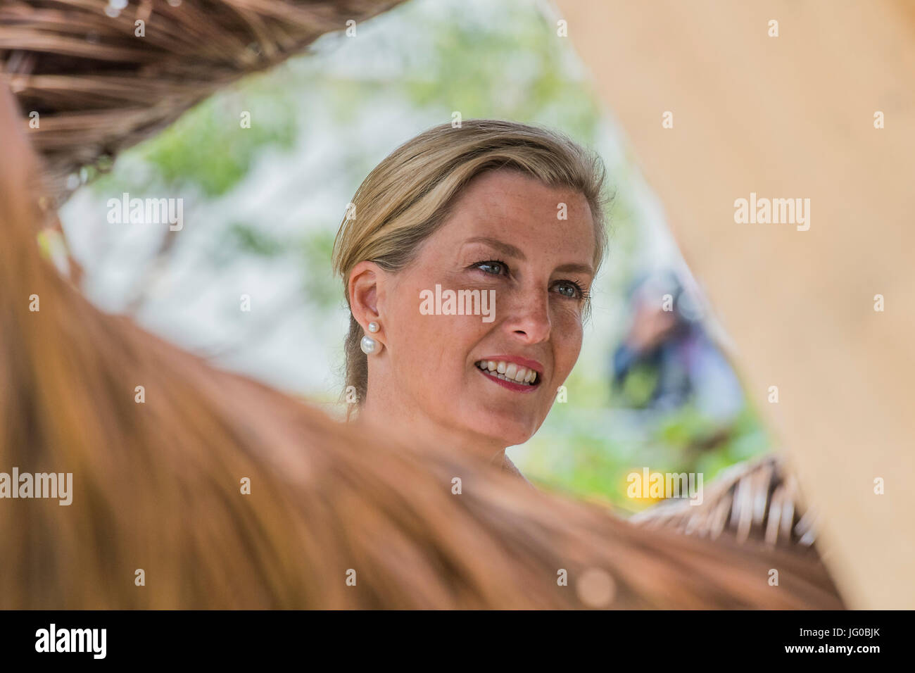 London, UK. 3rd July, 2017. HRH the Countess of Wessex, patron of the charity, on Blind Veterans UK: its all about Community Garden by Andrew Fisher Tomlin and Dan Bowyer - The Hampton Court Flower Show, organised by the Royal Horticultural Society (RHS). In the grounds of the Hampton Court Palace, London. Credit: Guy Bell/Alamy Live News Stock Photo