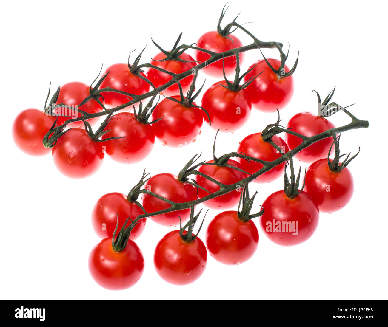 Branch of red ripe cherry tomatoes with water drops. Studio Photo Stock ...