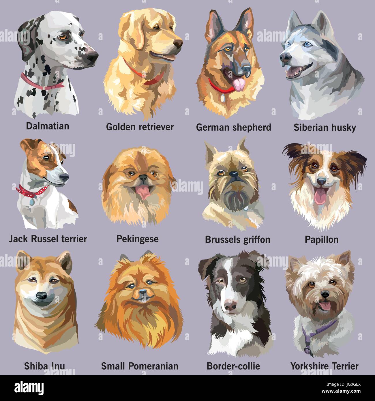 how many breeds of dogs are there 2017